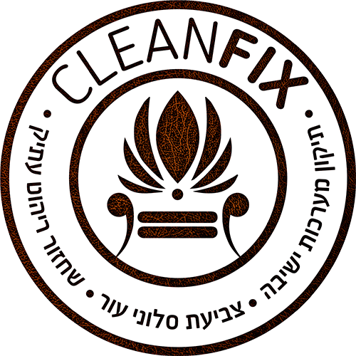 CleanFix